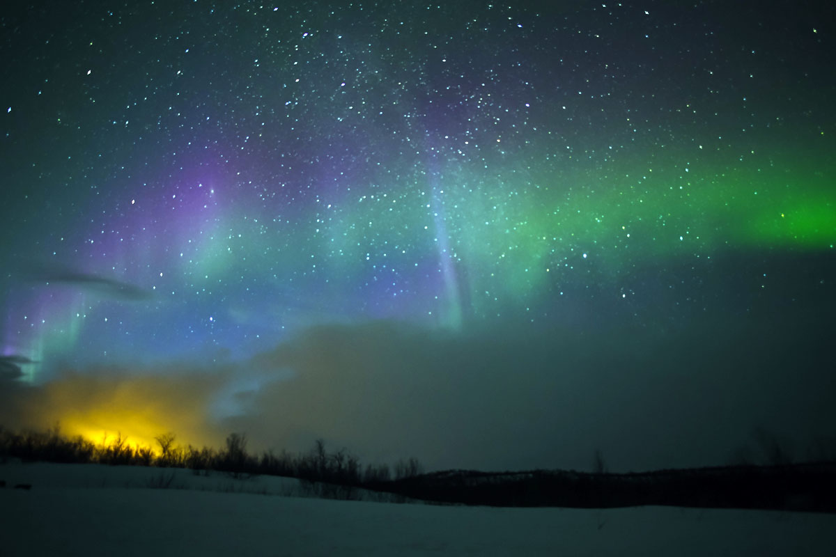 306期,極光,雪橇,哈士奇