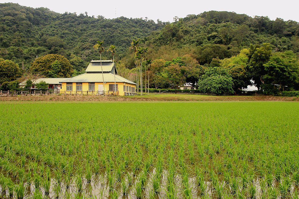 no309,微型咖啡館,重返花蓮,暖心