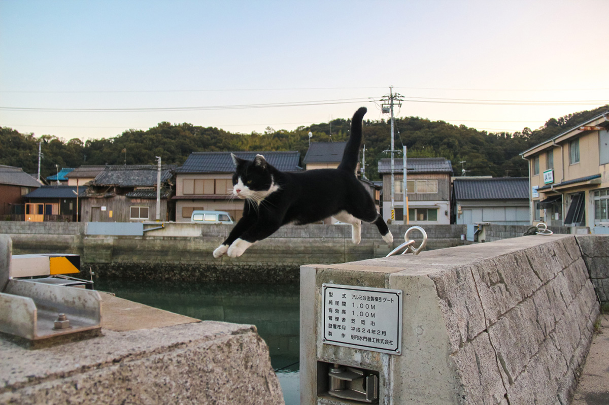 把你最厲害的照片拿出來就有機會免費遊日本岡山