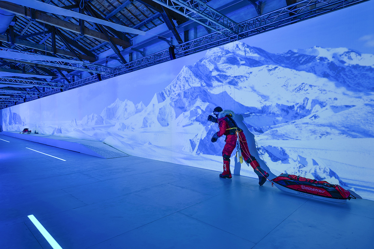 去你的南極！台北松菸體驗極地風情，6大特展亮點大公開