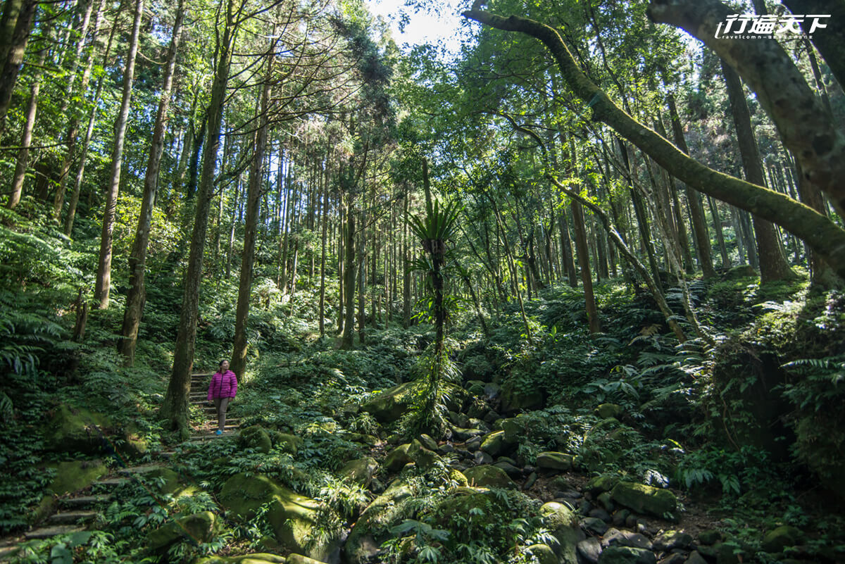 行遍天下12月號2019第328期
