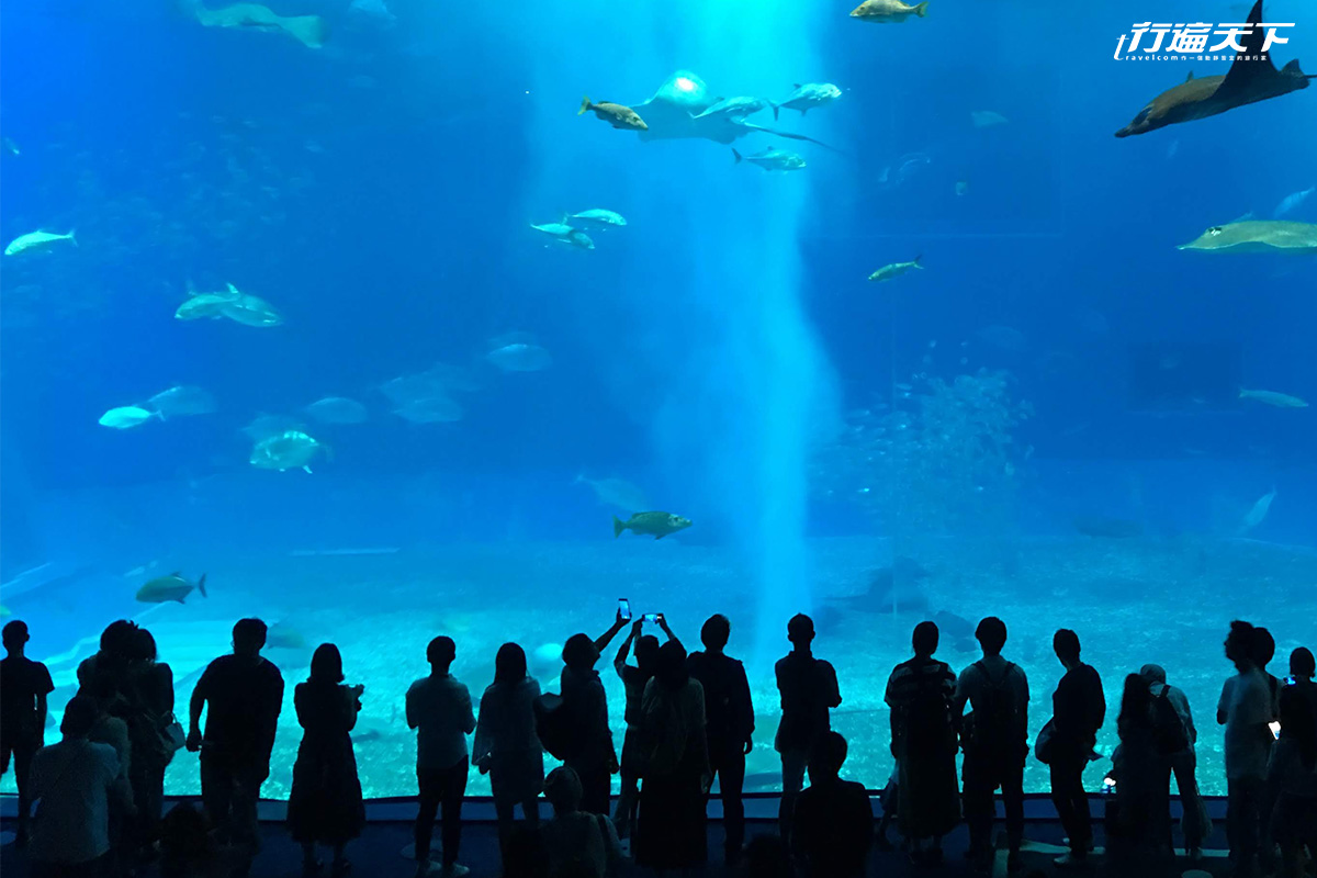 【日本買物】「嗶」近沖繩，日本小額支付就用它