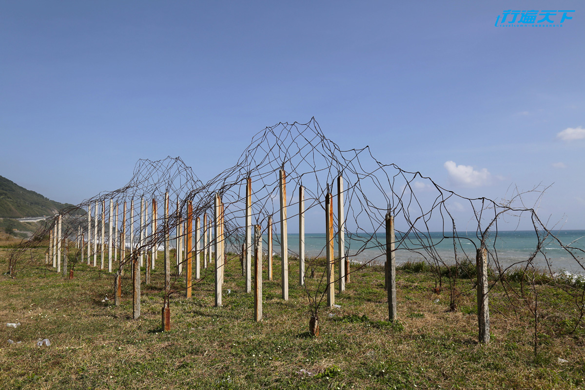 行遍天下12月號2019第328期
