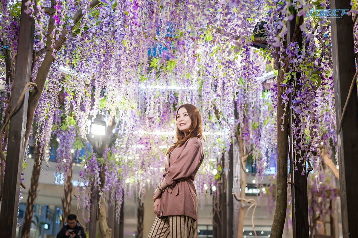 MITSUI OUTLET PARK,林口,紫藤花海秘境,野餐