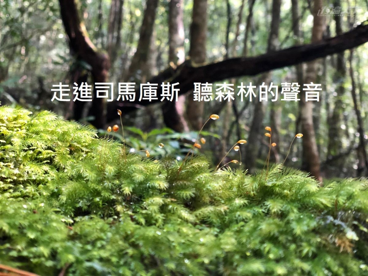 台灣,司馬庫斯,遠得要命部落,上帝的部落,新竹