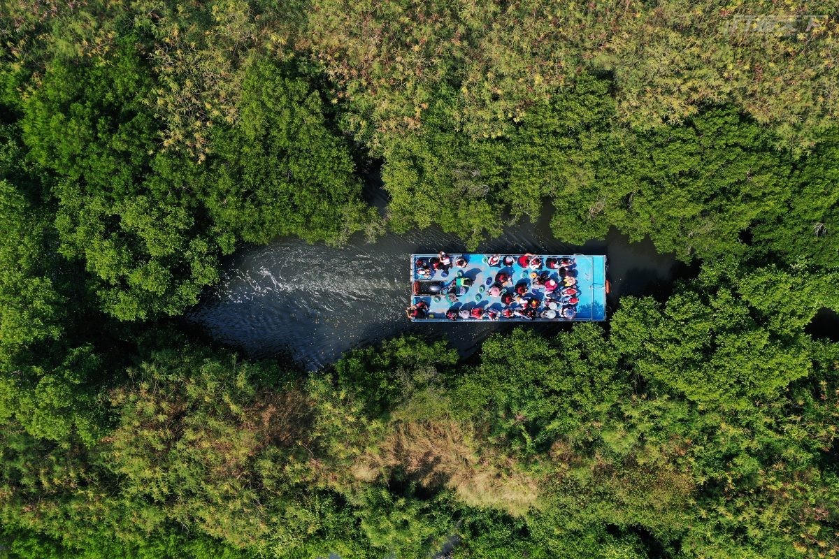 台南旅遊｜台版亞馬遜河在這　四草綠色隧道無動力小船緩行國際級濕地間