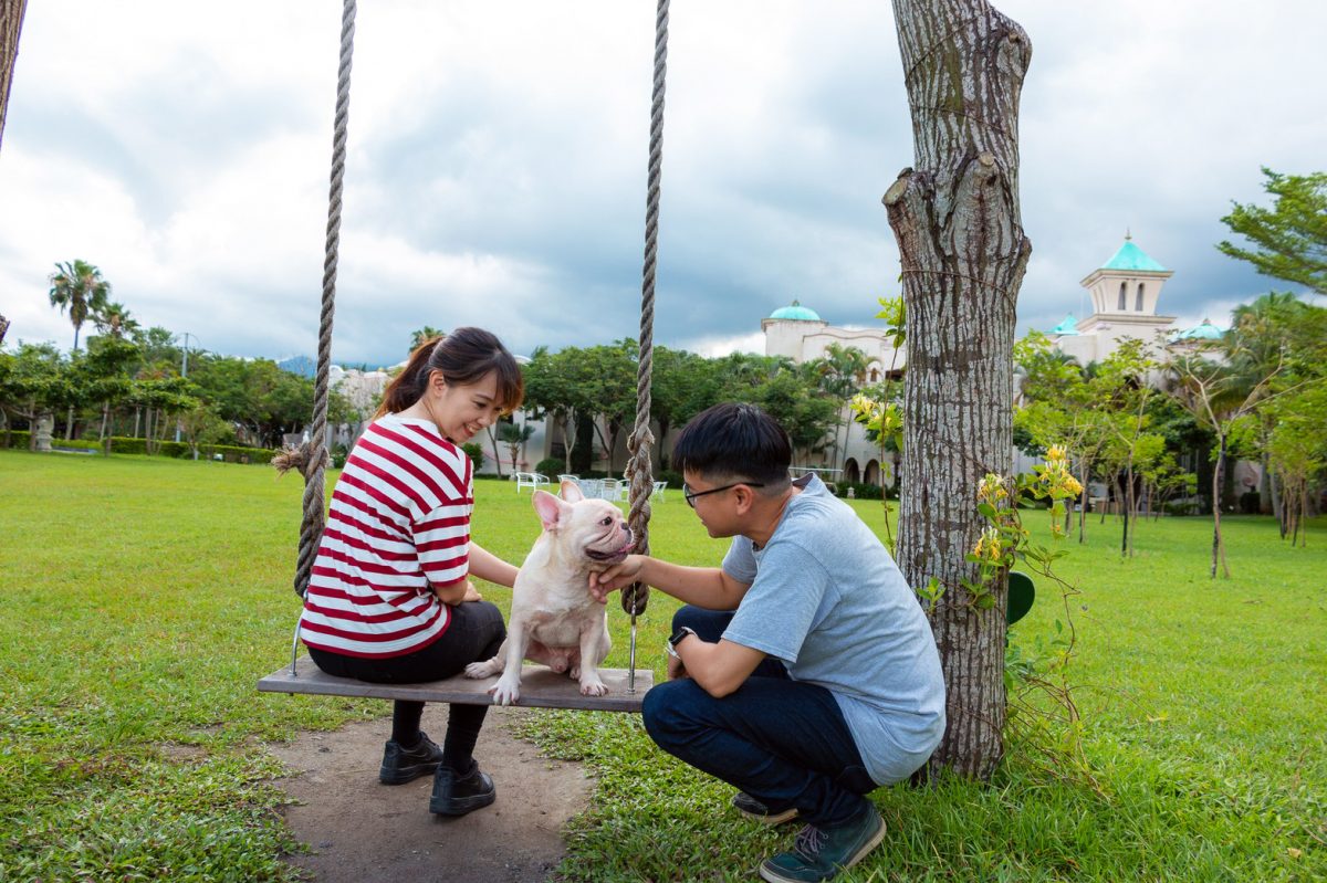 花蓮,寵物,毛小孩,寵物友善,寵物飯店