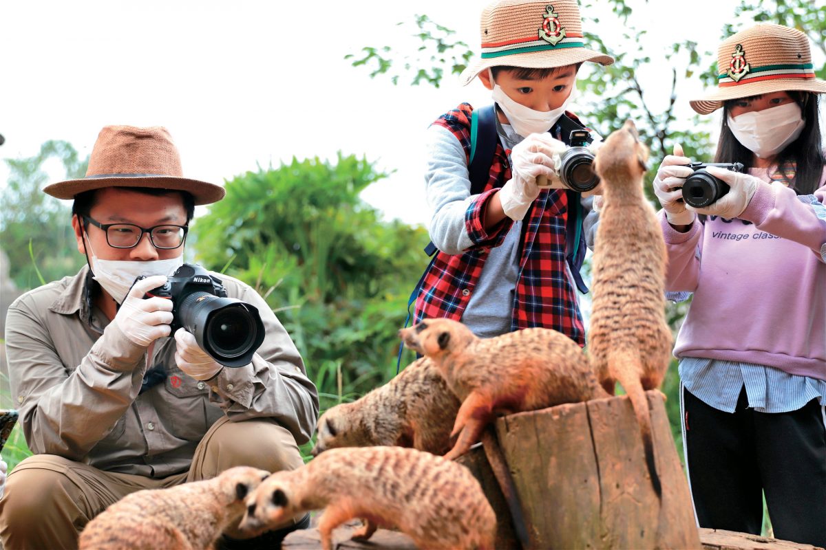 六福村,生態攝影,動物園,冰霧派對,六福萬怡