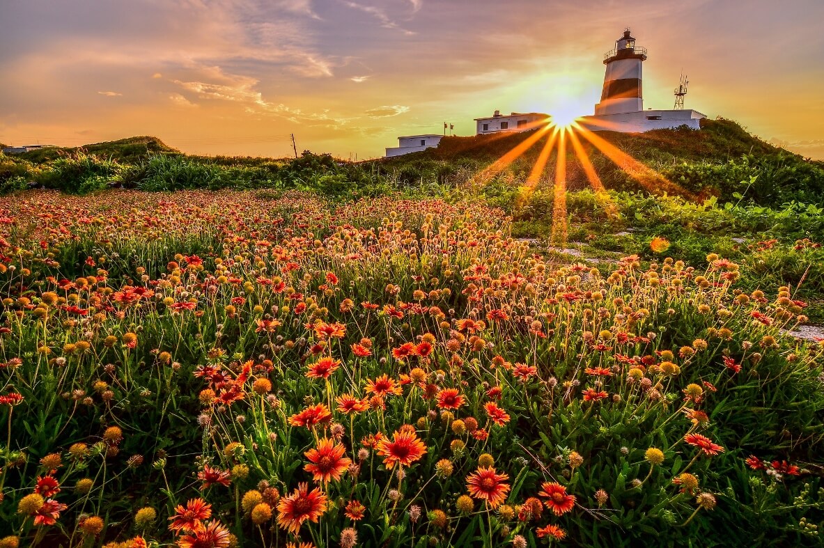 北海岸,野柳,皇冠北海岸線,台灣好行