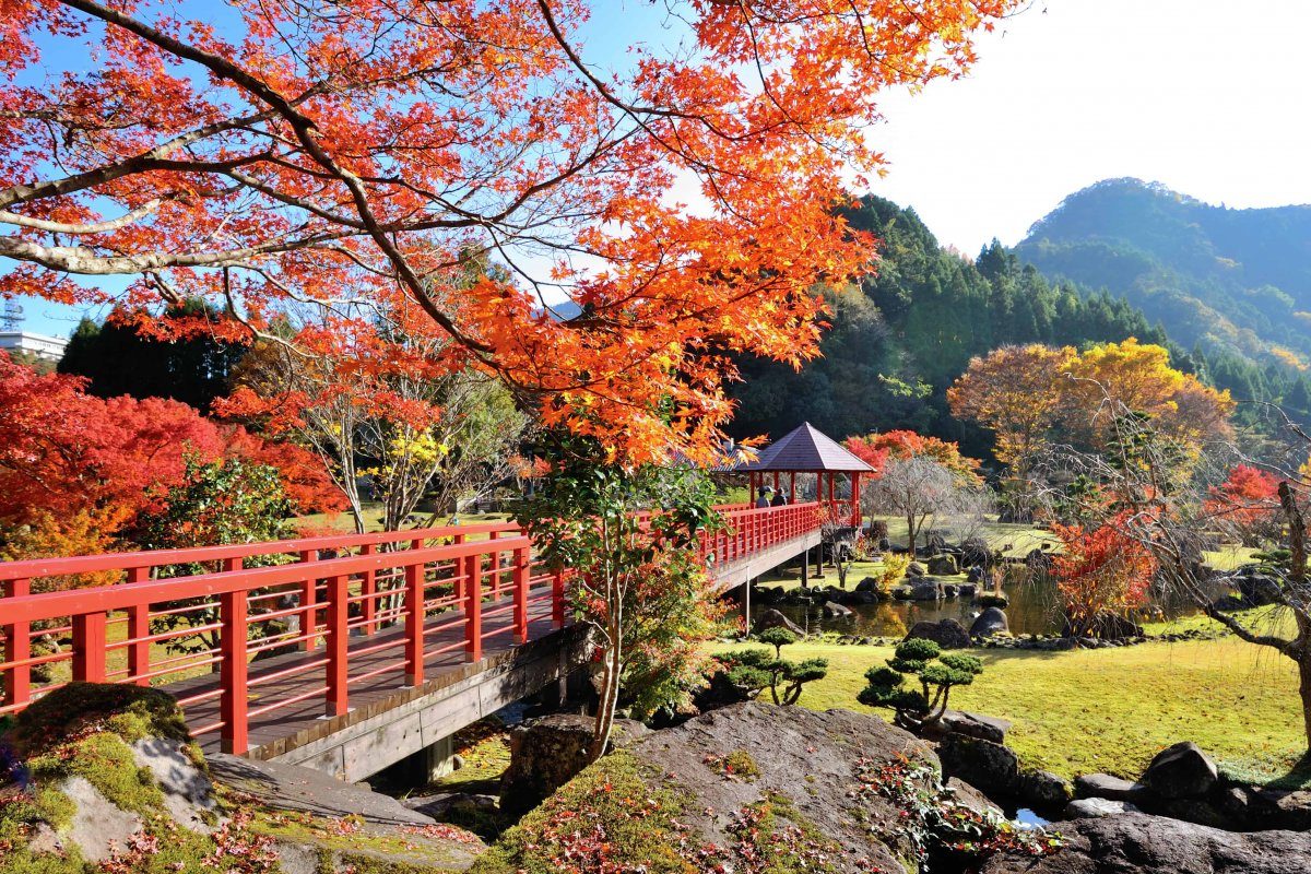 日本,賞楓,大分,必訪,必吃,口袋名單
