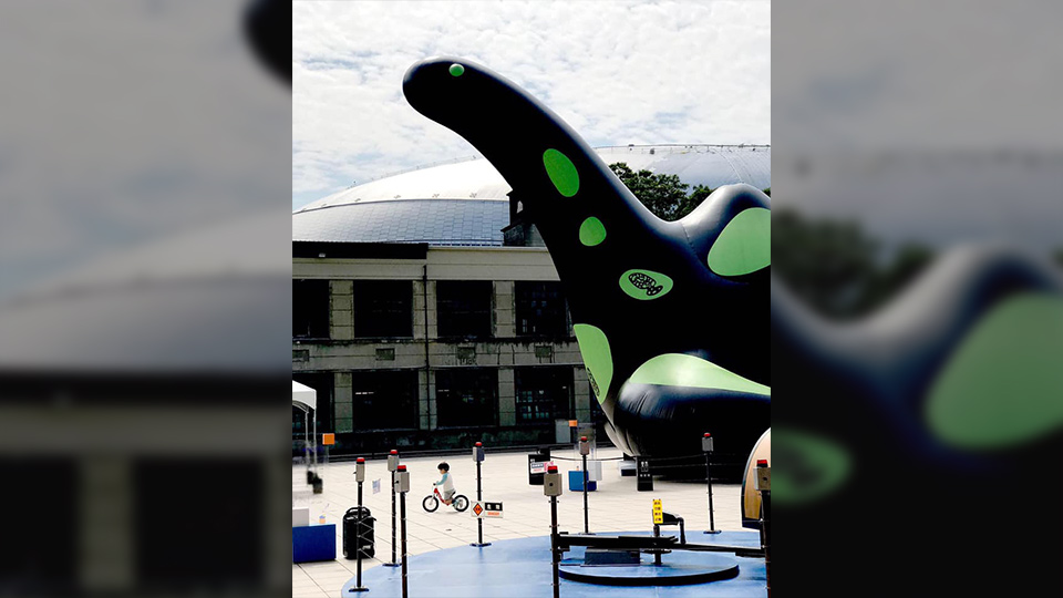 屏東,大鵬灣,帆船生活節,體驗,水上活動,沙灘派對