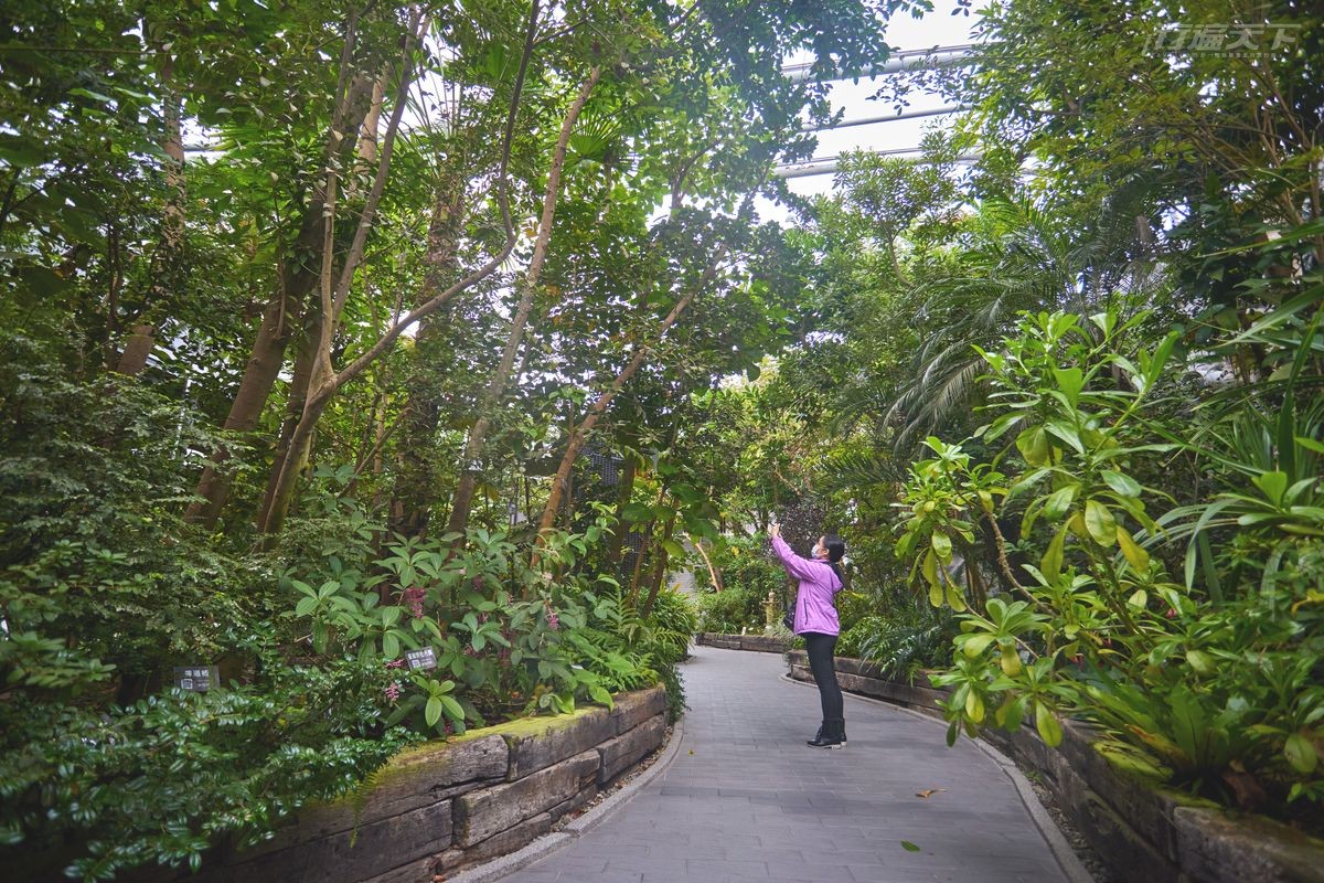 台北,綠建築,臺北典藏植物園,天使生活館,雨天出遊備案,花卉博覽會園區