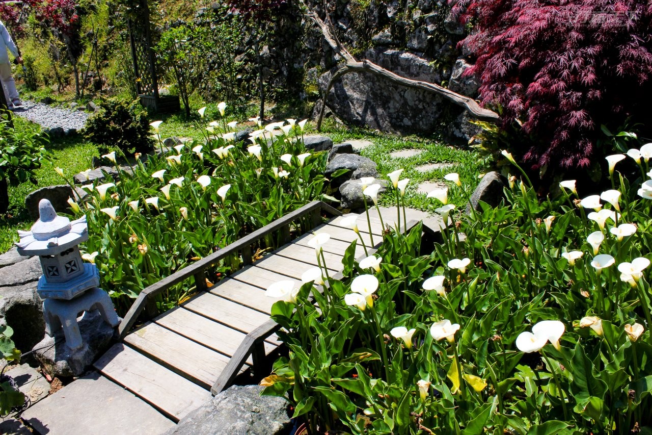 ▲群山環繞的農園,有許多氣氛角落,四季都能賞花。