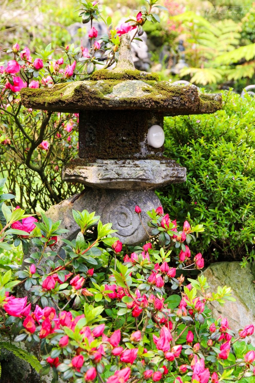 ▲不同季節來,都能賞到不一樣的美景。