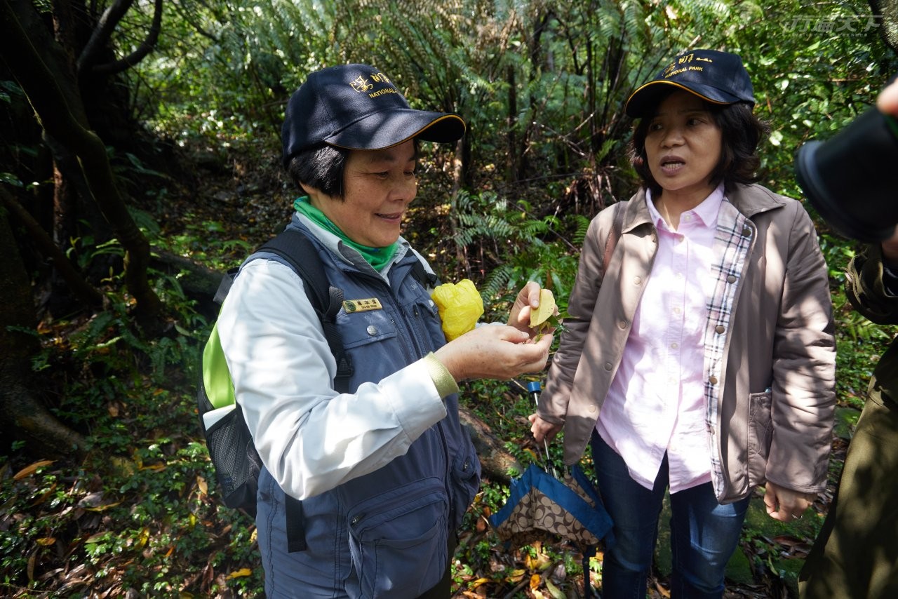 ▲透過解說員引領專注體驗森林各處角落,嗅聞葉子的味道。