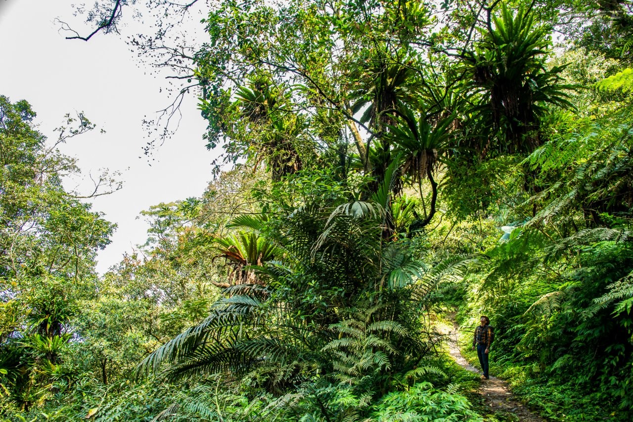 ▲跟著吳雲天老師的腳步一起走訪山林，也學習他對森林感恩的心。