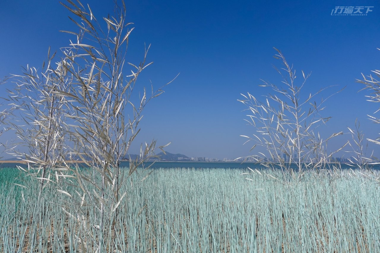 ▲原本是2020年藝術季的裝置藝術,目前仍保留在各地供遊客拍照。