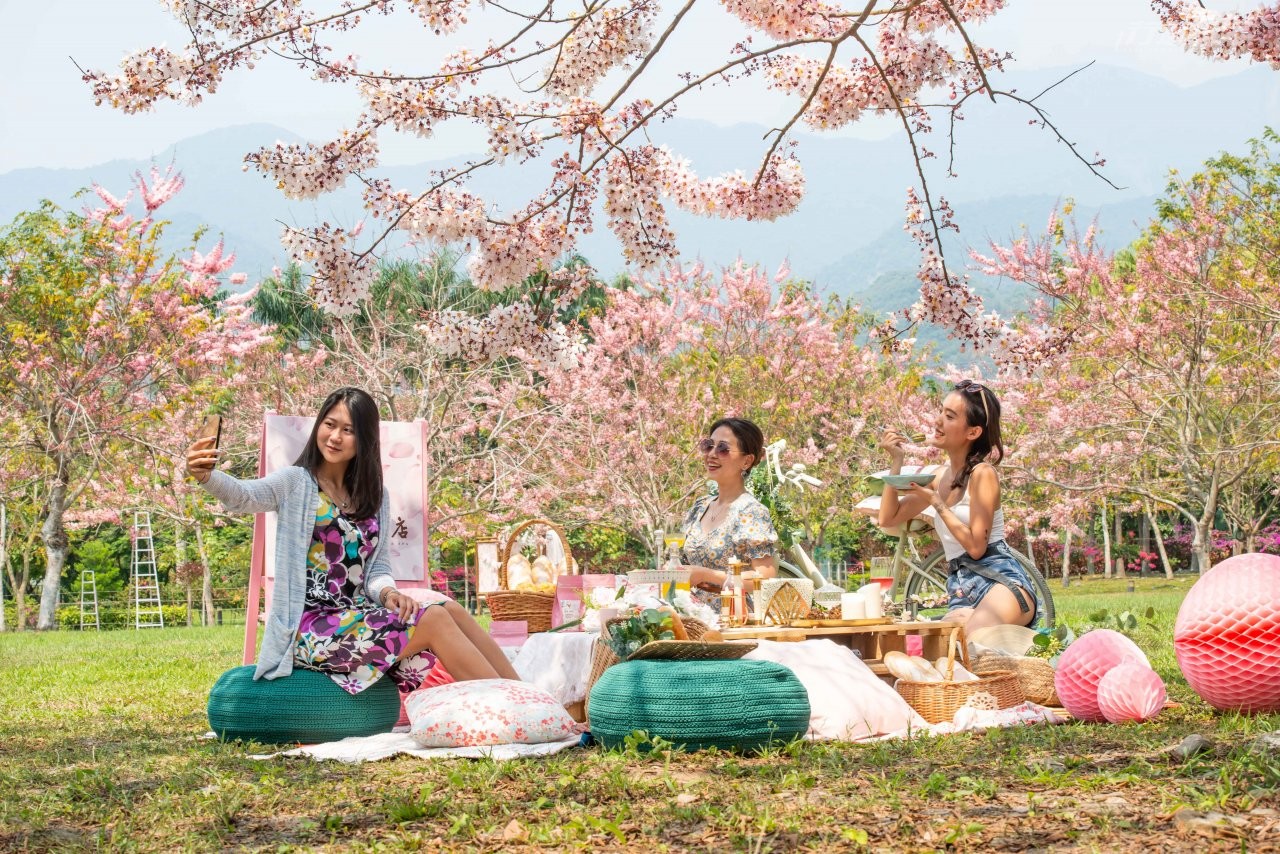 ▲邀請姐妹好朋友一起到粉紅花海之下迎接春天。