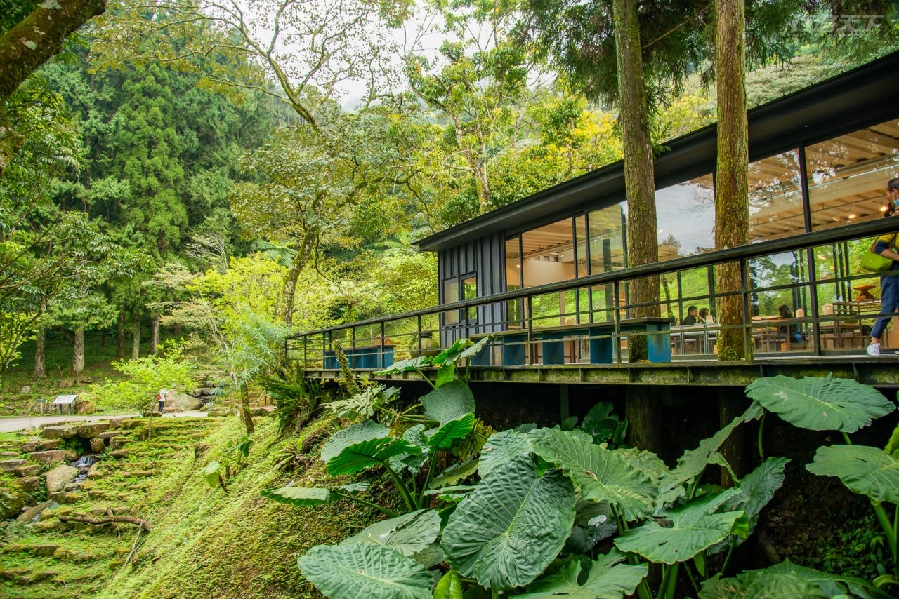 熊空農園,三峽,森林,山中咖啡屋