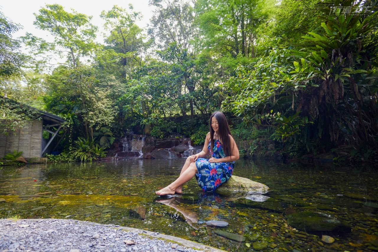 ▲親水池不只能玩水,能看到蝦與蟹生態。