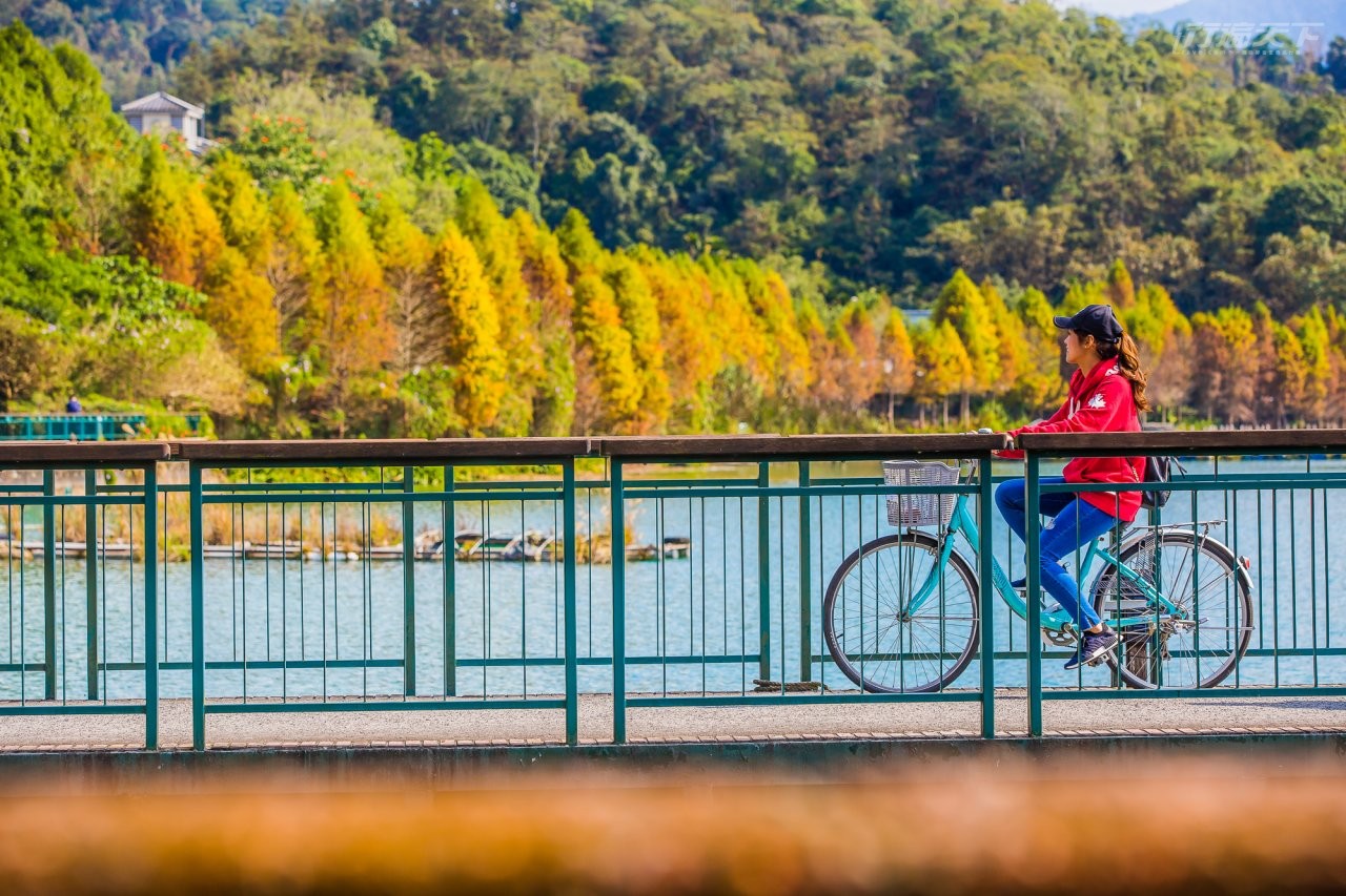 ▲騎自行車沿著風景優美的環潭車道享受大自然的清新空氣是最棒的享受日月潭玩法。
