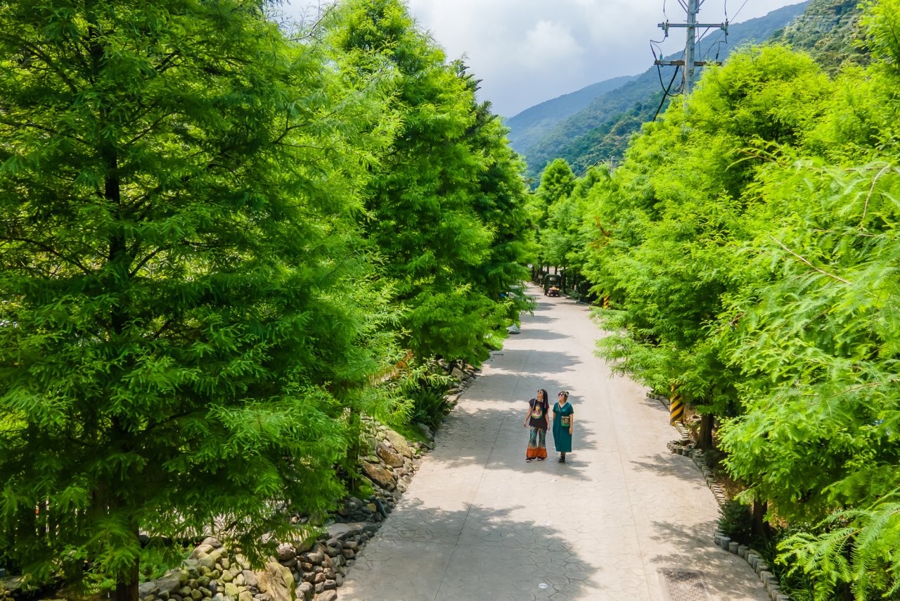▲最讓人驚艷的莫過於園區內的蝴蝶、鳥類生態,早晨會被溪流與鳥鳴喚醒,漫步落羽松大道與湖畔時,粉蝶環繞,不禁讓人讚嘆生態的自然與美好。