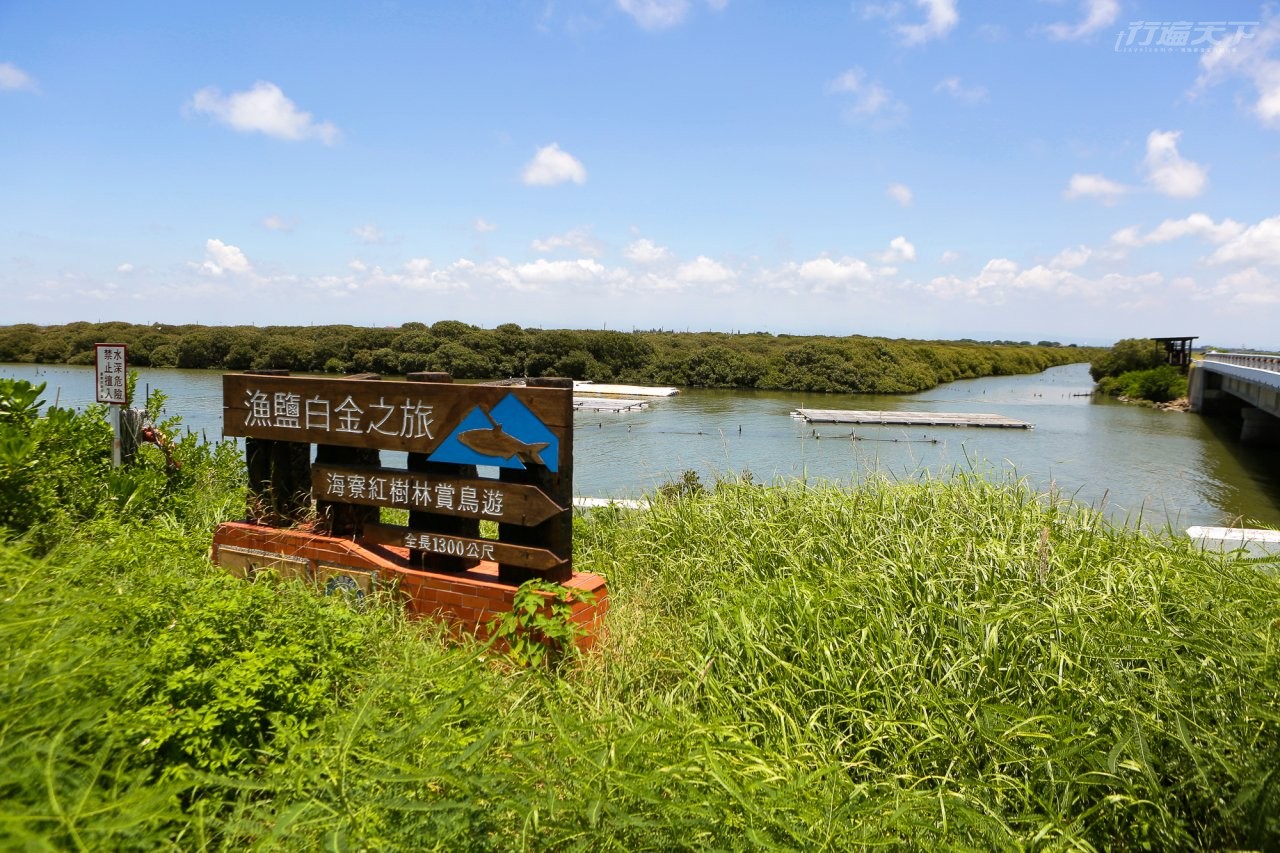 ▲位於七股溪出海口旁的茂密生態秘境是海寮紅樹林,設有觀鳥亭,此處以海茄苳為主,林中有許多水鳥棲息,是賞鳥的好去處。