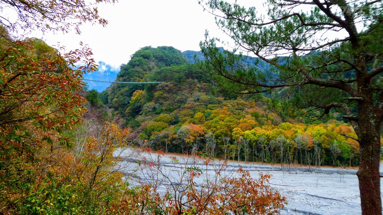 ▲森林達人廖慶森建議大家來奧萬大國家森林遊樂區不要只是為了賞楓,更要欣賞大地調色盤的色彩之美。(圖/奧萬大國家森林遊樂區提供)