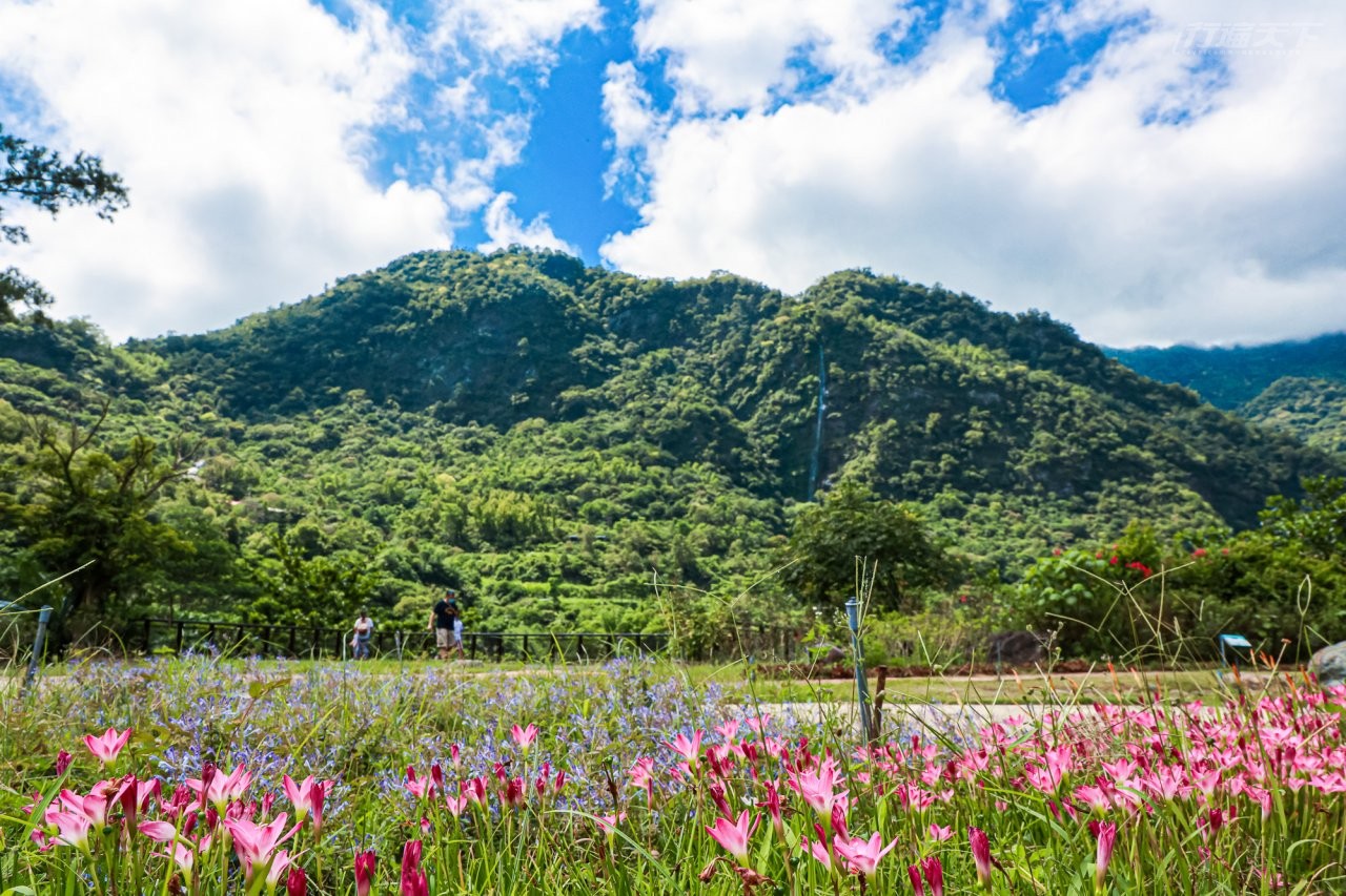台東景點 80 未開發老少咸宜的森林遊樂區來知本泡湯外也要來走一走享受山裡清新空氣 行遍天下旅遊網
