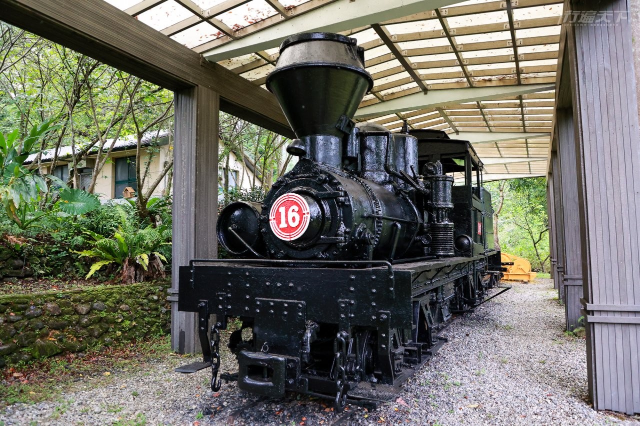 ▲蒸汽火車頭不管大小朋友都很愛,這裡保存了兩台高山森林鐵道的集材機關車,見證台灣早期伐木歷史與歲月風華。