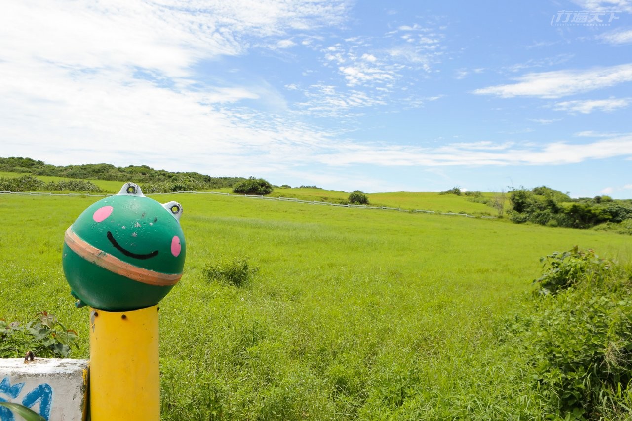 ▲水蛙窟大草原童趣的小浮球也是拍照的亮點。