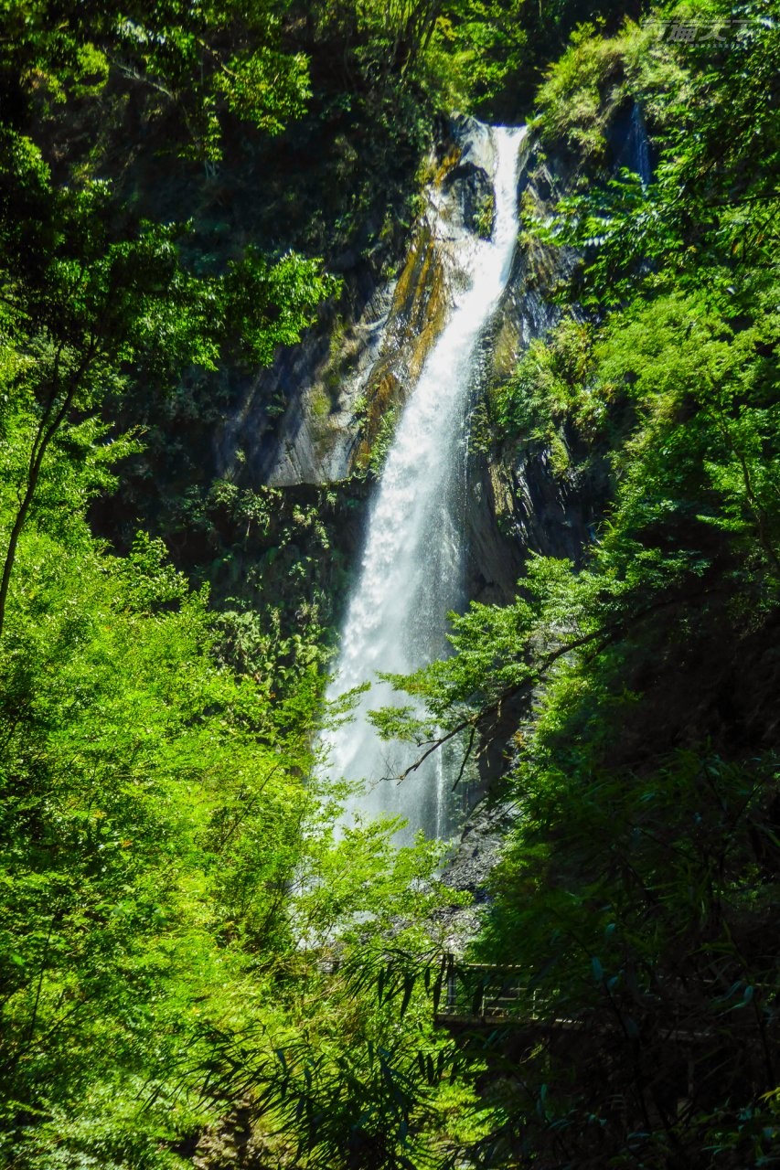 ▲奧萬大因地質構造產生飛瀑、雙瀑與連瀑等不同型態瀑布，全年有水，其中還有負離子含量為全台第二的飛瀑瀑布，氣勢相當磅礴。（圖／奧萬大國家森林遊樂區提供）