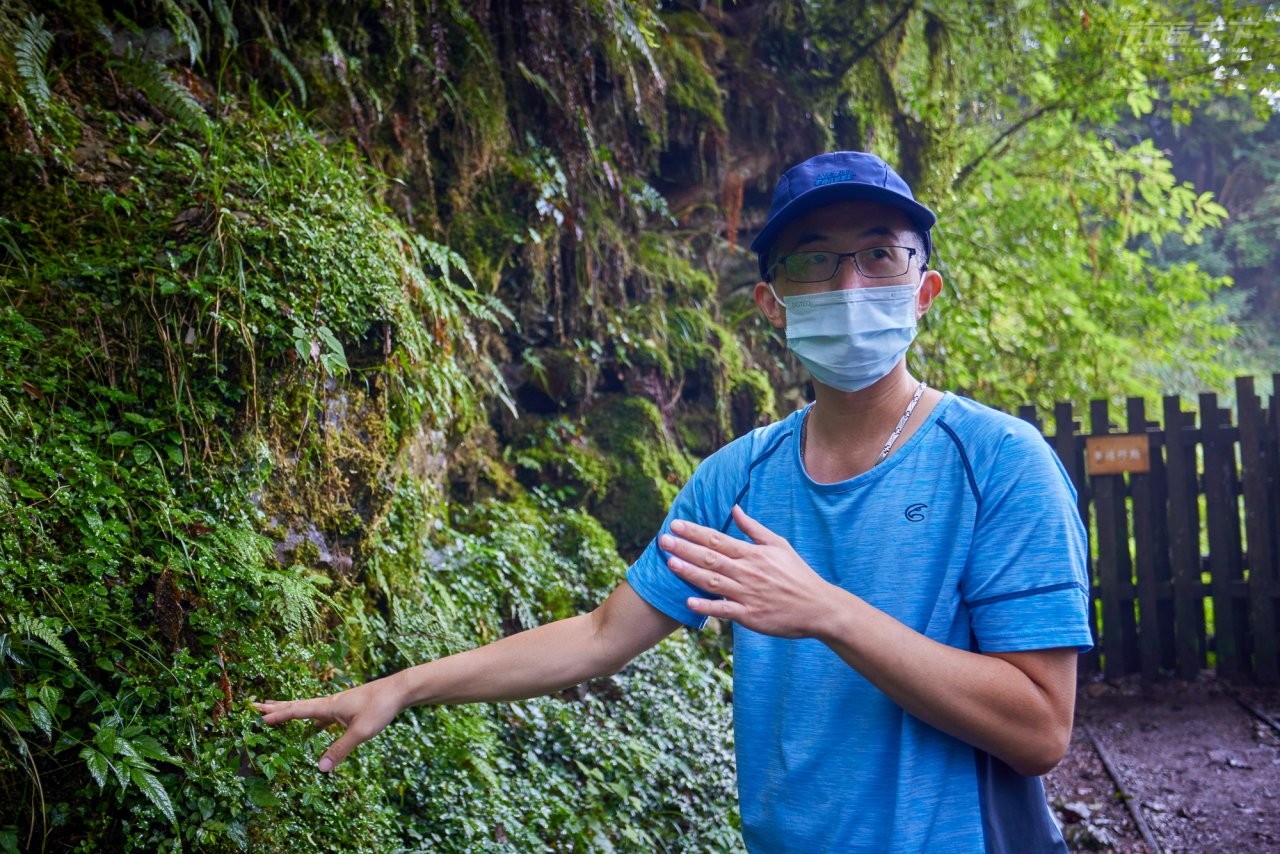 ▲森林達人推薦!太平山工作站的鄭曉中建議大家可前往山中10條特色各異的步道,尤其是秋冬欣賞山毛櫸黃葉與孤枝交錯最美。