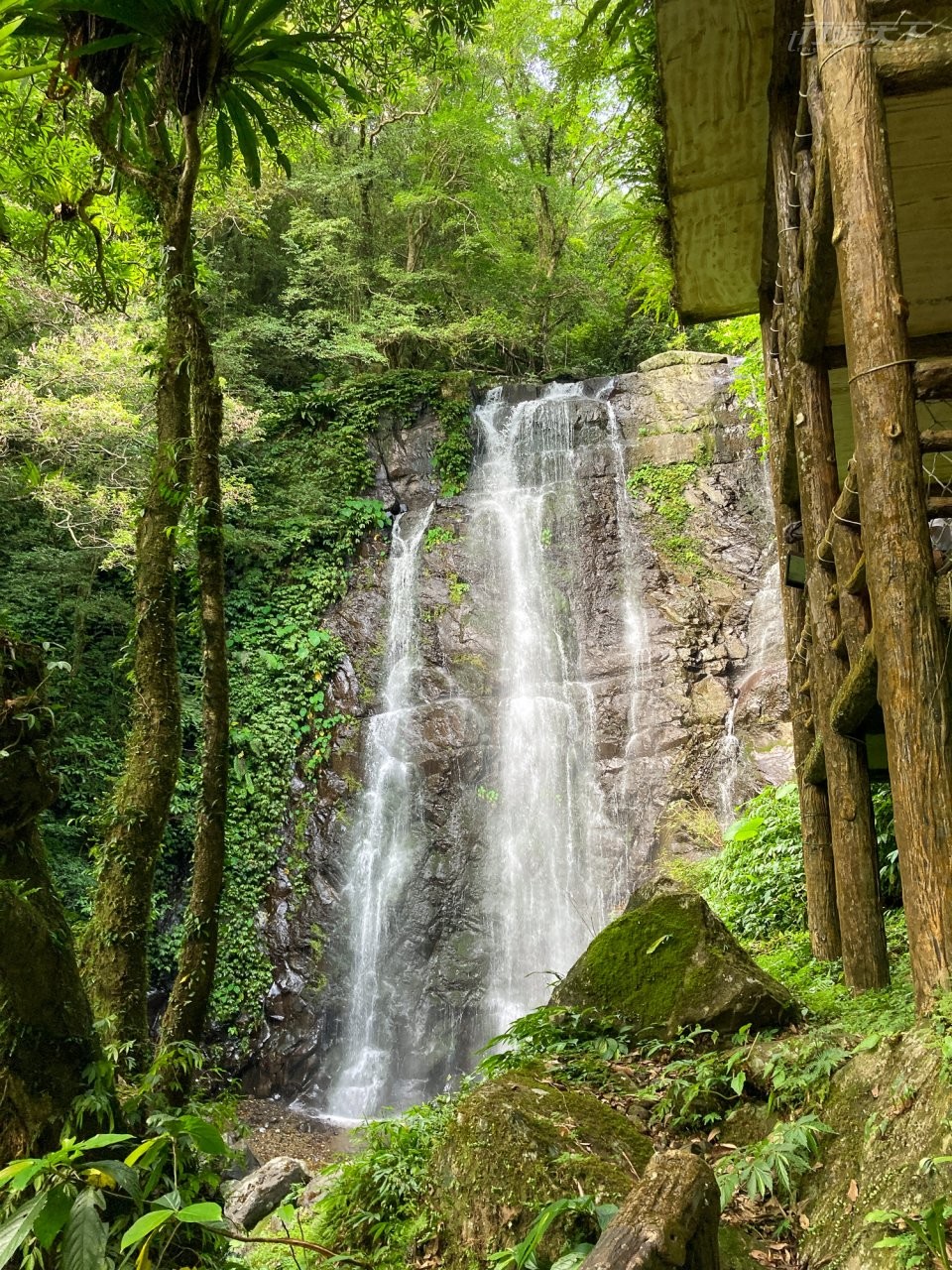 07處女瀑布高約25公尺,水流傾瀉而下十分壯觀,水量豐沛石油如白色簾幕,不時出現彩虹,是園區的人氣景點。(圖/新竹林管處提供.陳怡妙攝影)