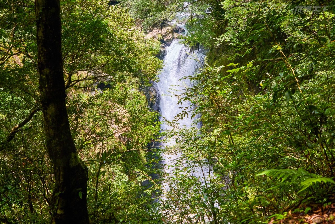 ▲滿月圓瀑布高約十多公尺,瀑布直沖而下彷彿白色絲絹,可至觀瀑亭遠望滿月圓瀑布全景。