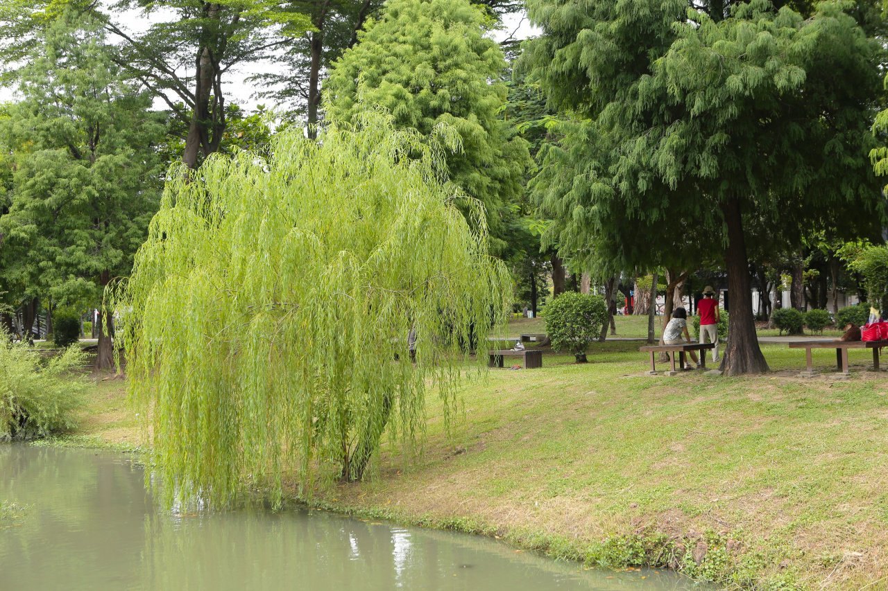 ▲飯店附近的巴克禮紀念公園是全球卓越設計獎的綠活園地。（圖／台糖長榮酒店提供）