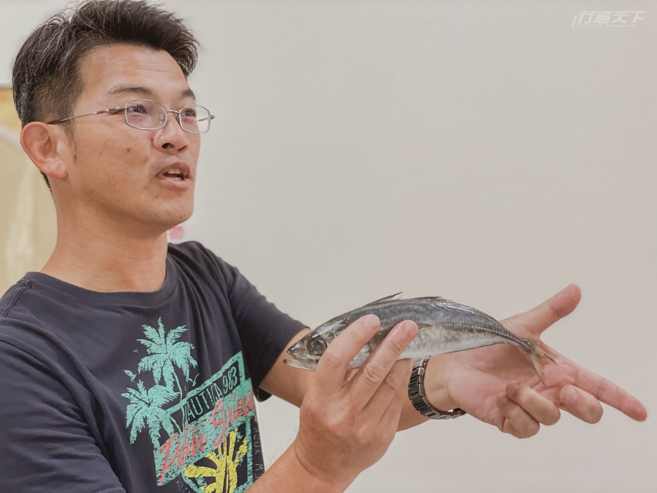 ▲隨著季節不同,食魚教育體驗會吃到不同的魚,講師介紹如何吃對海鮮,才能讓海洋資源源源不絕。(圖片提供:島風行旅)