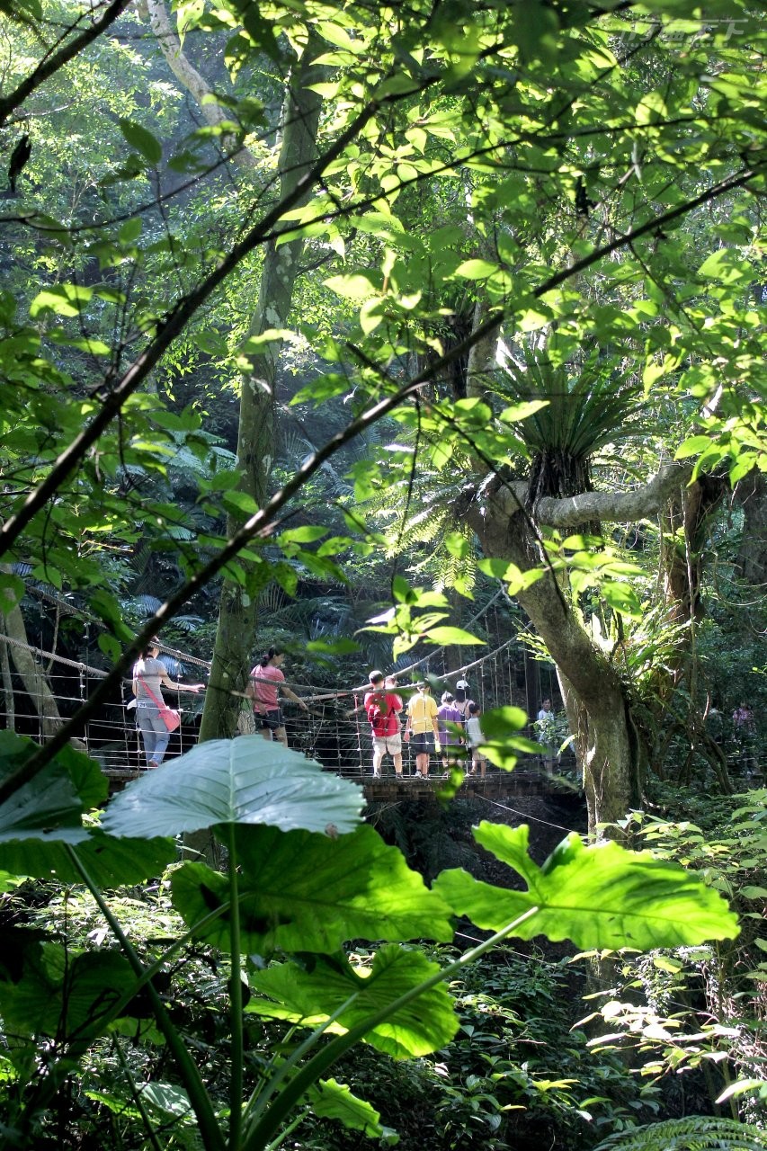 新北三峽｜享森林芬多精五感療癒　舒泡全台唯一熱帶雨林療癒湯泉
