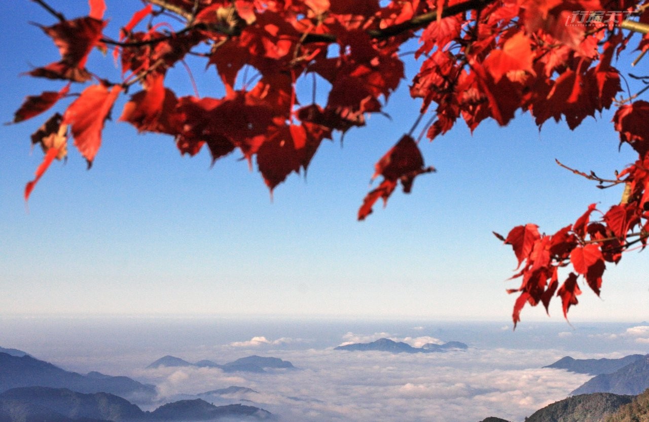 ▲深秋是雲海最佳發生期,幸運的話阿里山公路便可瞧見夕陽雲海。