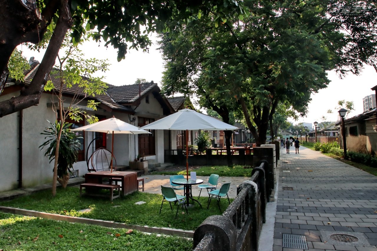 ▲老樹掩映的勝利星村,處處流露著悠閒氣息。