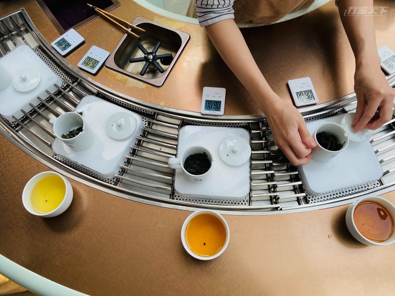 ▲南屯區的「吃茶三千」品鑑區，可以試飲5種焙度的梨山烏龍茶。
