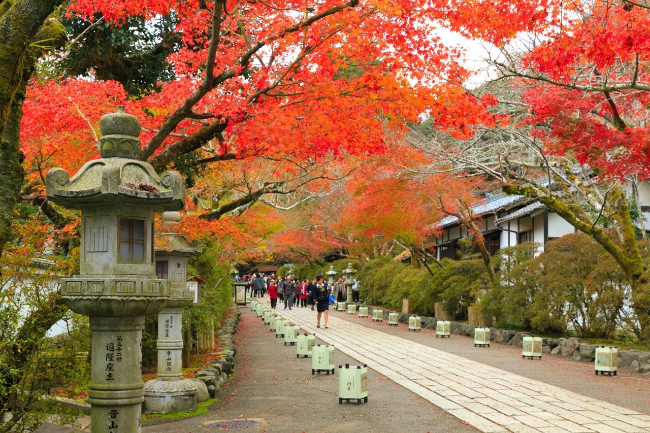 ▲「石山寺」是著名的楓葉名所,踏入大門映入眼簾的火紅楓葉迎接著遊客。
