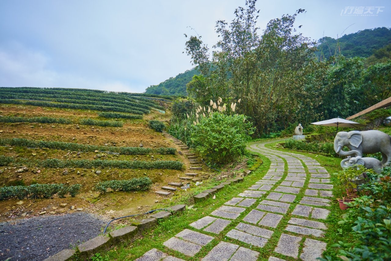 ▲從店外小山徑往上，可一路散步到茶園上方的石雕公園。