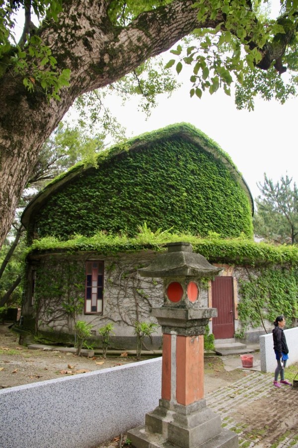 花蓮,新城鄉,獨木舟,清水斷崖,日出